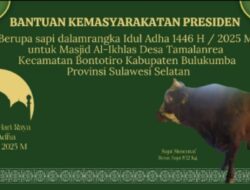 Bulukumba Berkurban Sebanyak 1.636 Ekor, Termasuk Kurban Bantuan Presiden RI