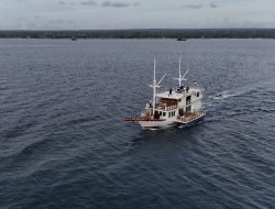 Sailing Pinisi Bersama Arapaima, Nikmati Keindahan Pantai Merpati dari Atas Kapal Legendaris