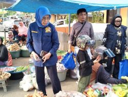 Anggota DPR RI Hj. Andi Yuliani Paris Sidak Harga Sembako di Pasar Cekkeng Bulukumba Jelang Lebaran