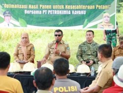 Panen Raya di Bontoharu, Bupati Andi Utta Tekankan Pentingnya Ketahanan Pangan dan Modernisasi Pertanian