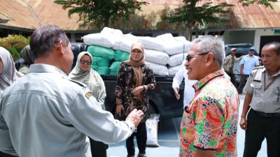 Bulukumba Terima Bantuan 10 Ton Benih Padi Varietas Unggul