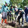 Tanam Pohon di Kindang Warnai Peringatan Hari Lingkungan Hidup Sedunia 2026