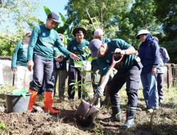 Tanam Pohon di Kindang Warnai Peringatan Hari Lingkungan Hidup Sedunia 2026