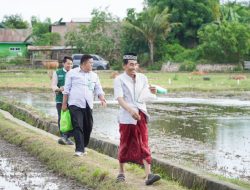 BAZNAS Bulukumba Salurkan Paket Logistik Keluarga untuk Lansia dan Disabilitas hingga Pelosok Desa