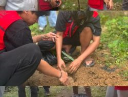 Mahasiswa KKN-T Unhas Perkenalkan Biopori di Desa Bulo-Bulo, Warga Antusias Ikuti Demonstrasi