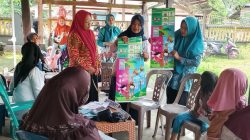Kader dan Posyandu Bulukumba Juara 1 Tingkat Sulsel, Wakili Sulsel di Ajang Nasional